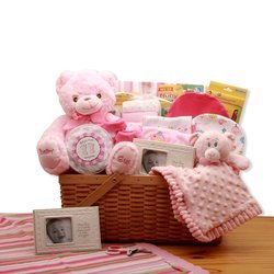Image of My First Teddy Bear New Baby Pink Gift Basket