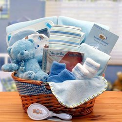 Image of New Baby Basics Blue Gift Basket