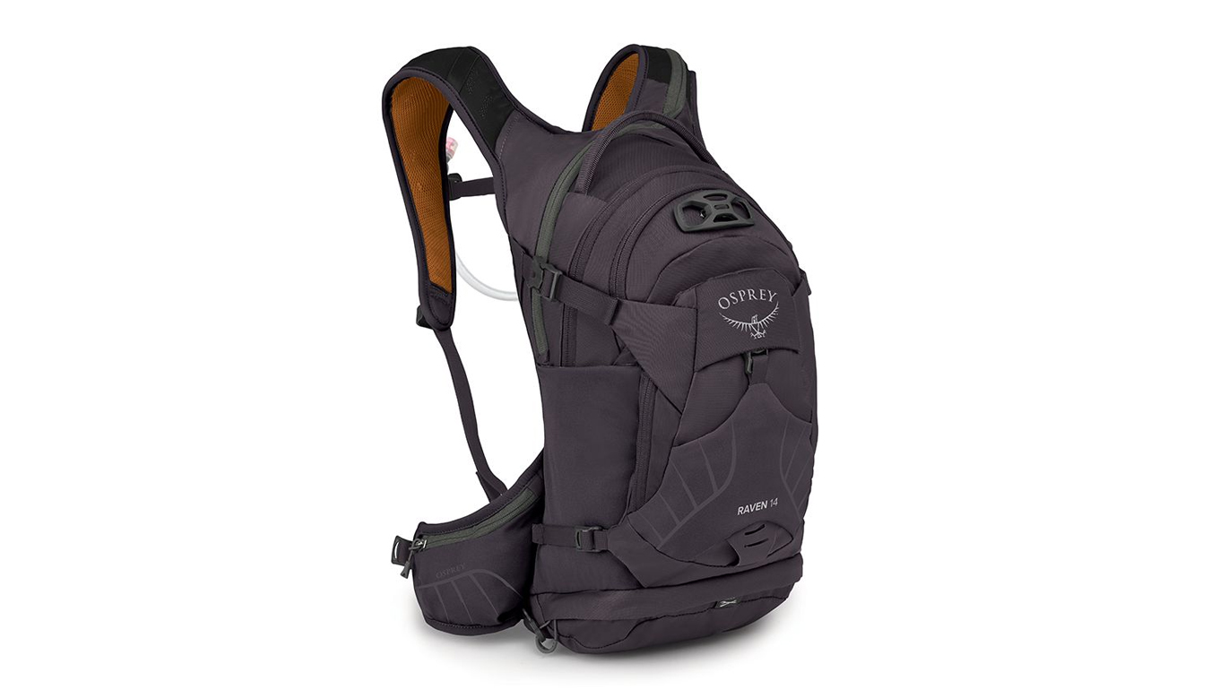 Image of Osprey Raven 14 II Space Travel Grey ESP