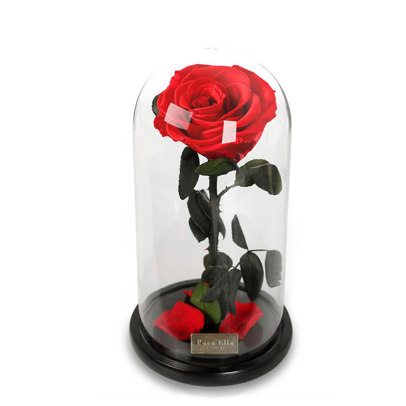 Image of Para Ella Preserved Fresh Rose Flower with Fallen Petals in Glass Dome on a Wooden Base