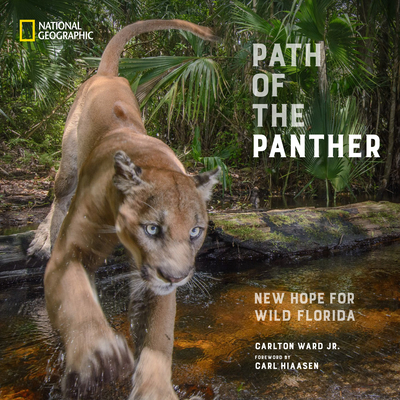 Image of Path of the Panther: New Hope for Wild Florida