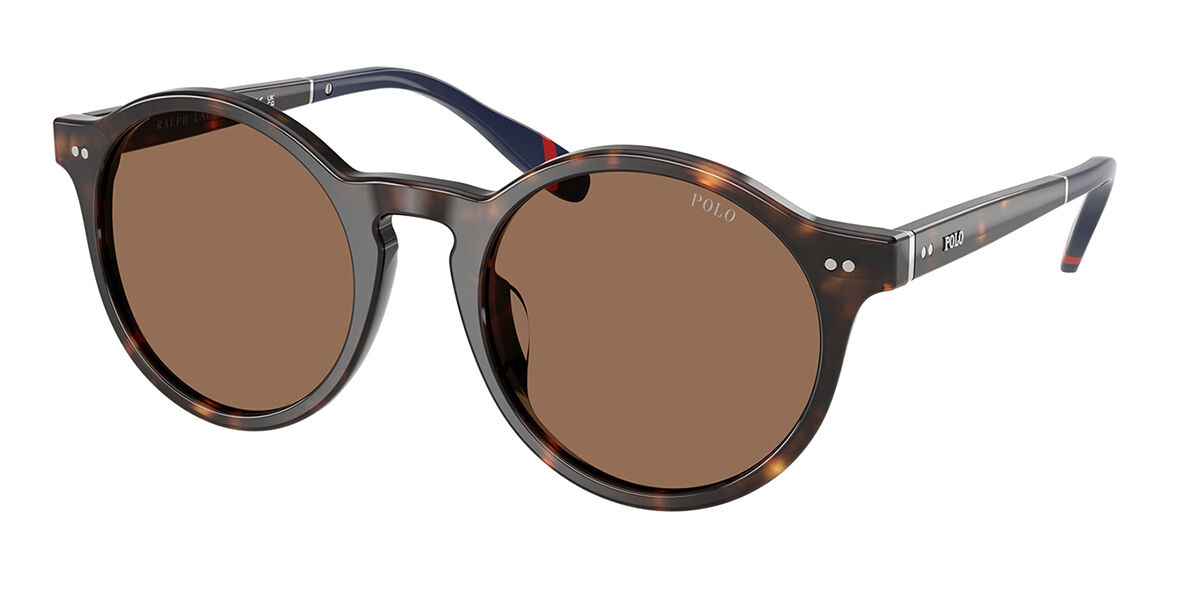 Image of Polo Ralph Lauren PH4204U 567373 Óculos de Sol Masculino Tortoiseshell BRLPT