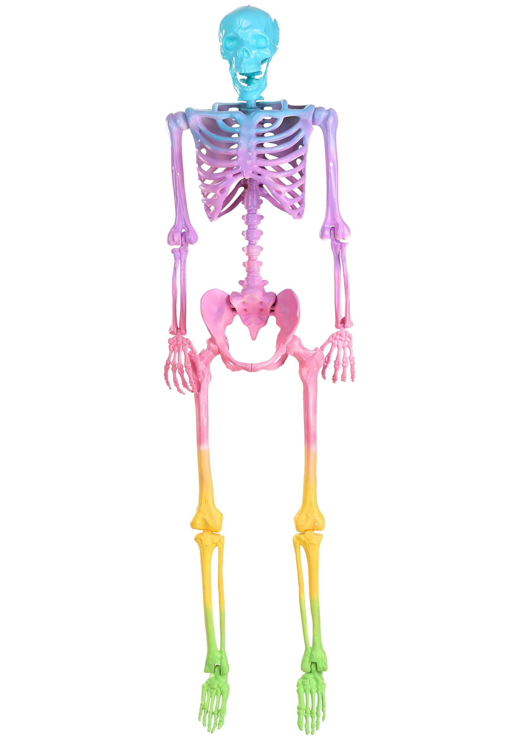 Image of Poseable Crazy Bones Skeleton in Rainbow Halloween Prop ID FUN6584-ST