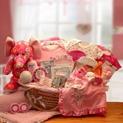Image of Precious Petals Deluxe Moses Pink Carrier