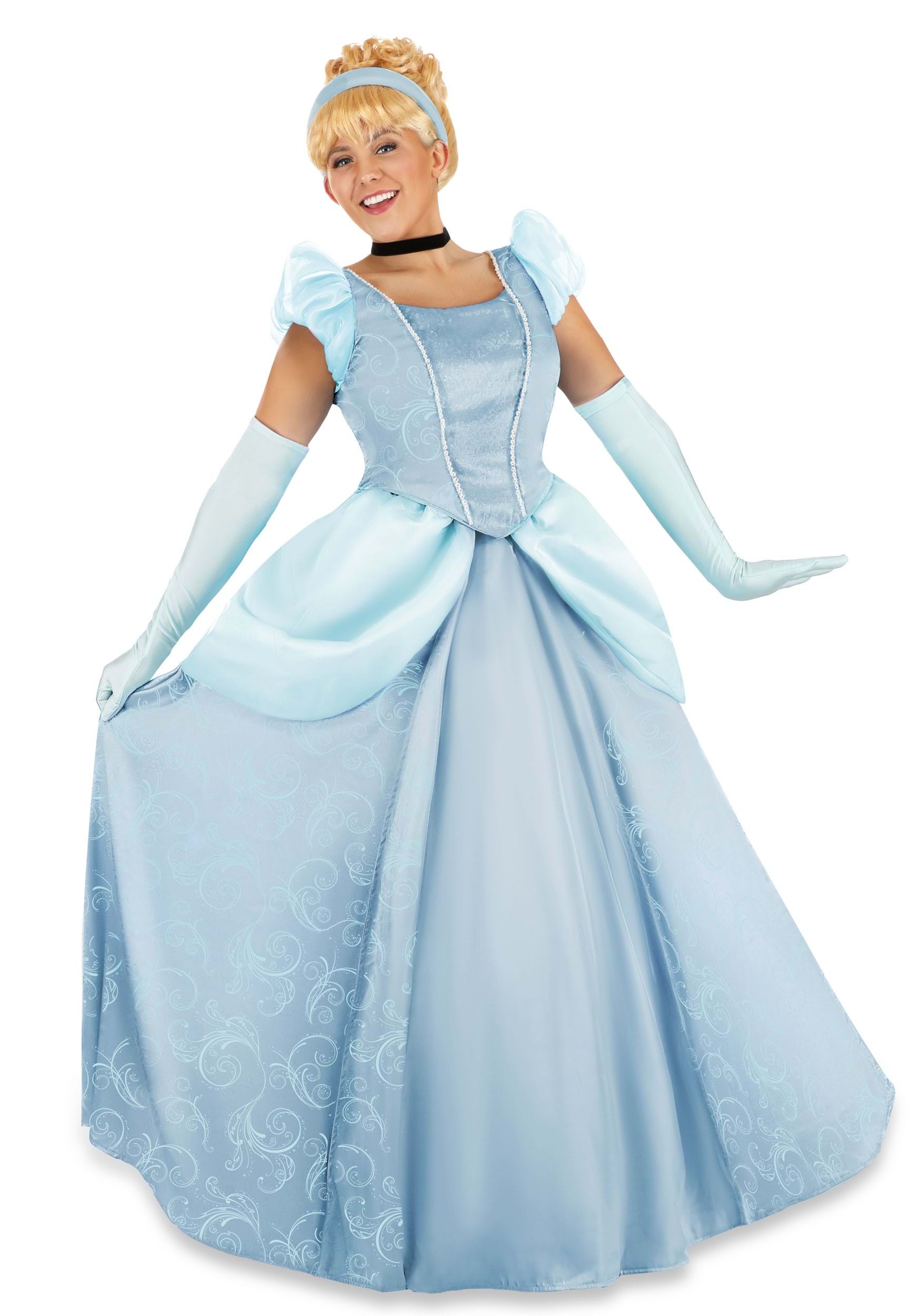 Image of Premium Cinderella Costume for Women ID FUN3374AD-S