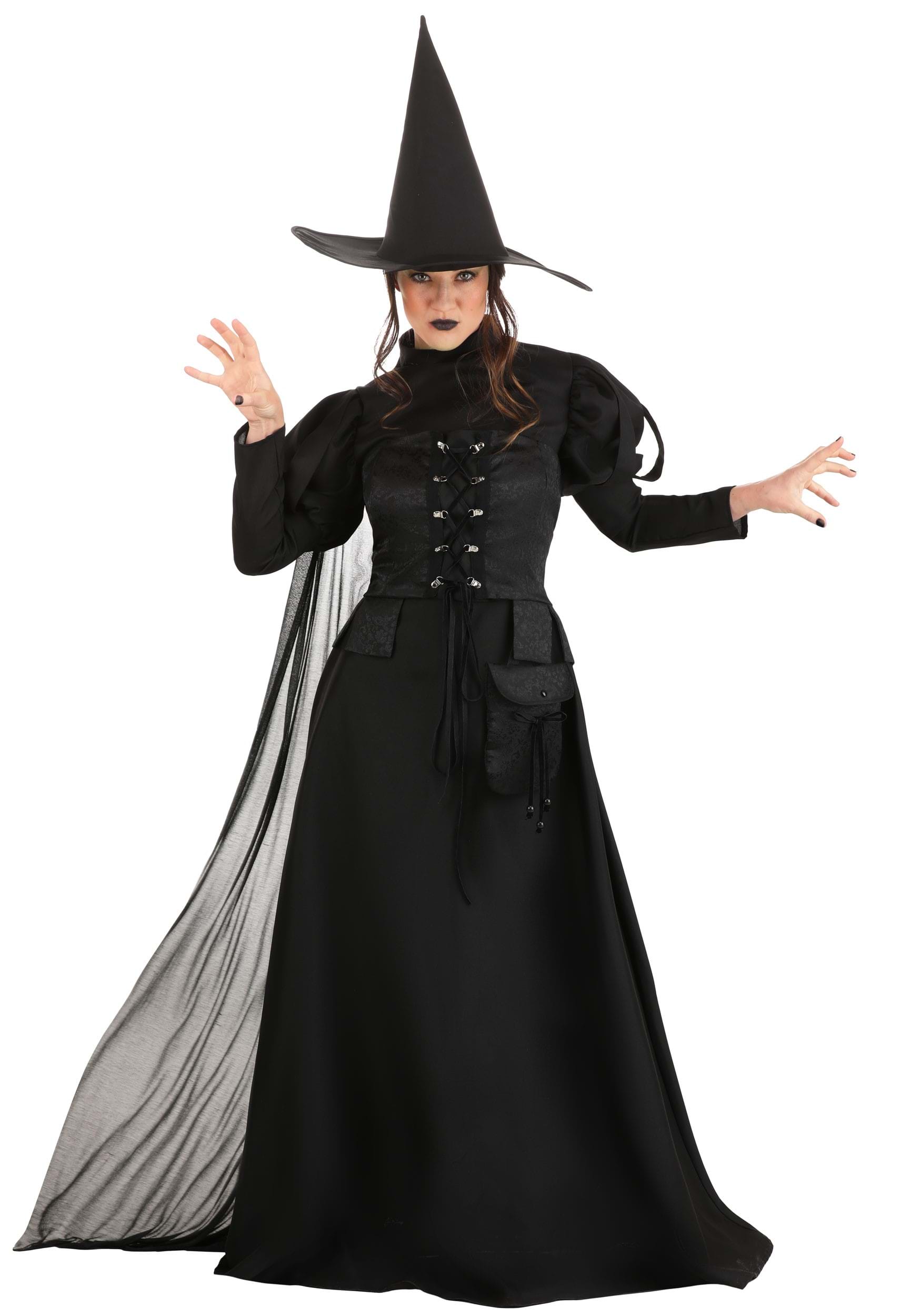 Image of Premium Wayward Witch Costume for Adults ID FUN3822AD-L