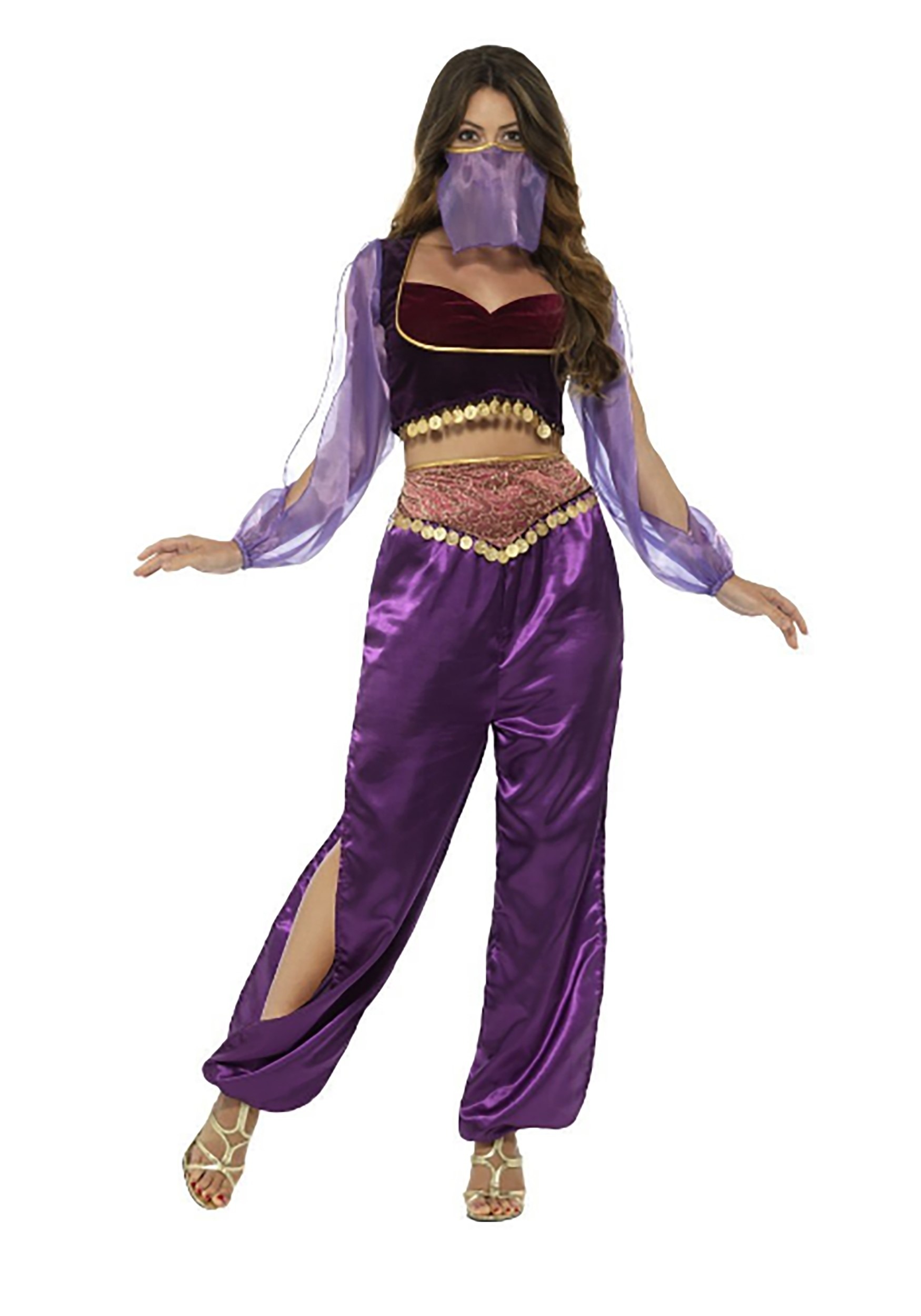 Image of Purple Belly Dancer Costume for Women ID SM24702-M