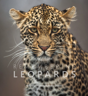 Image of Remembering Leopards