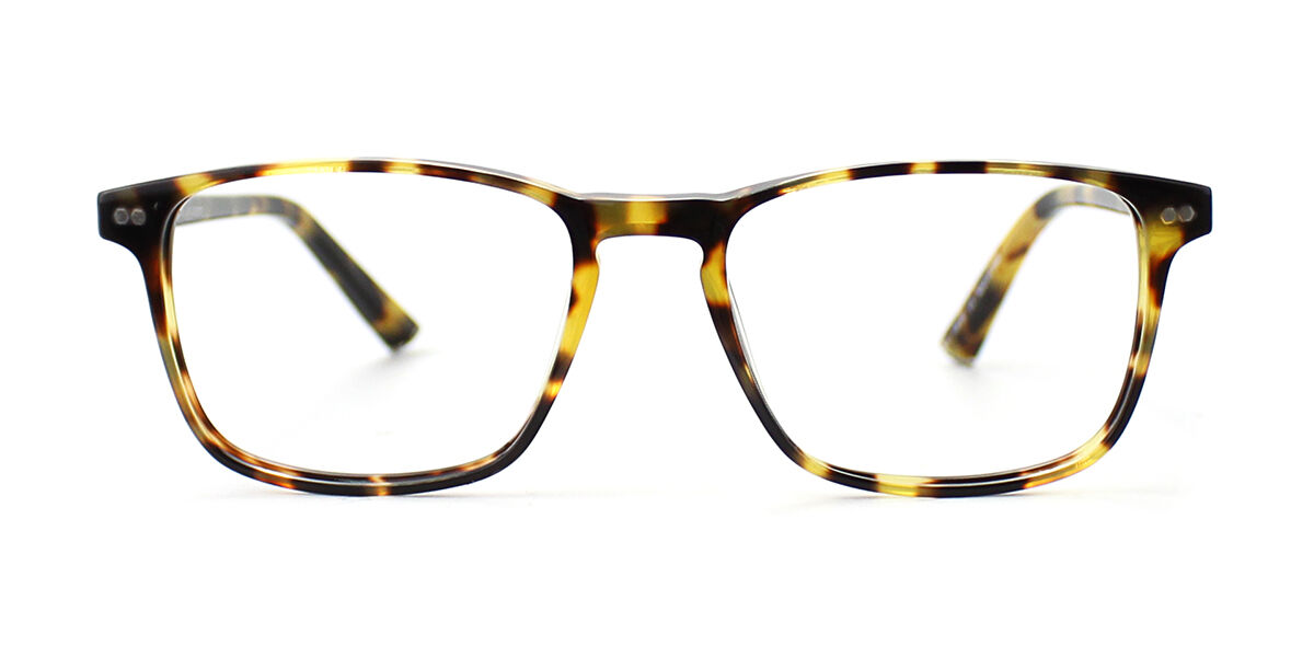 Image of Taylor Morris SW16 C3 Óculos de Grau Tortoiseshell Masculino BRLPT