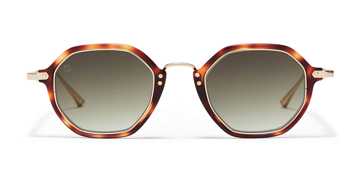 Image of Taylor Morris Westbourne C13 Óculos de Sol Tortoiseshell Masculino PRT