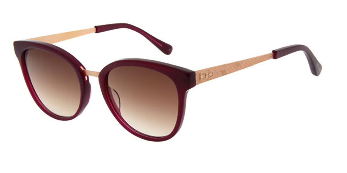 Image of Ted Baker TB1541 Avery 205 Óculos de Sol Masculino Vinho BRLPT