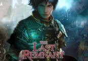 Image of The Last Remnant Steam CD Key TR
