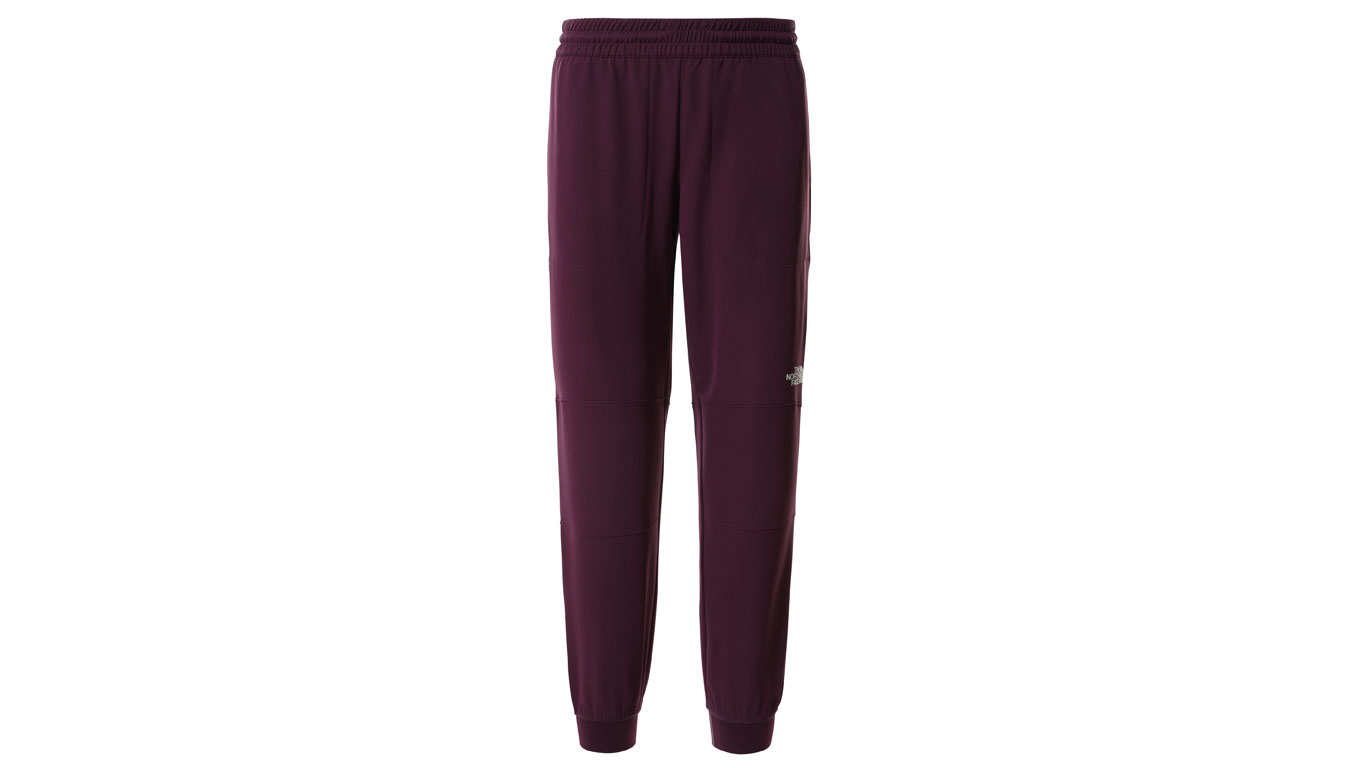 Image of The North Face W Tekwr Fleece Pant ESP