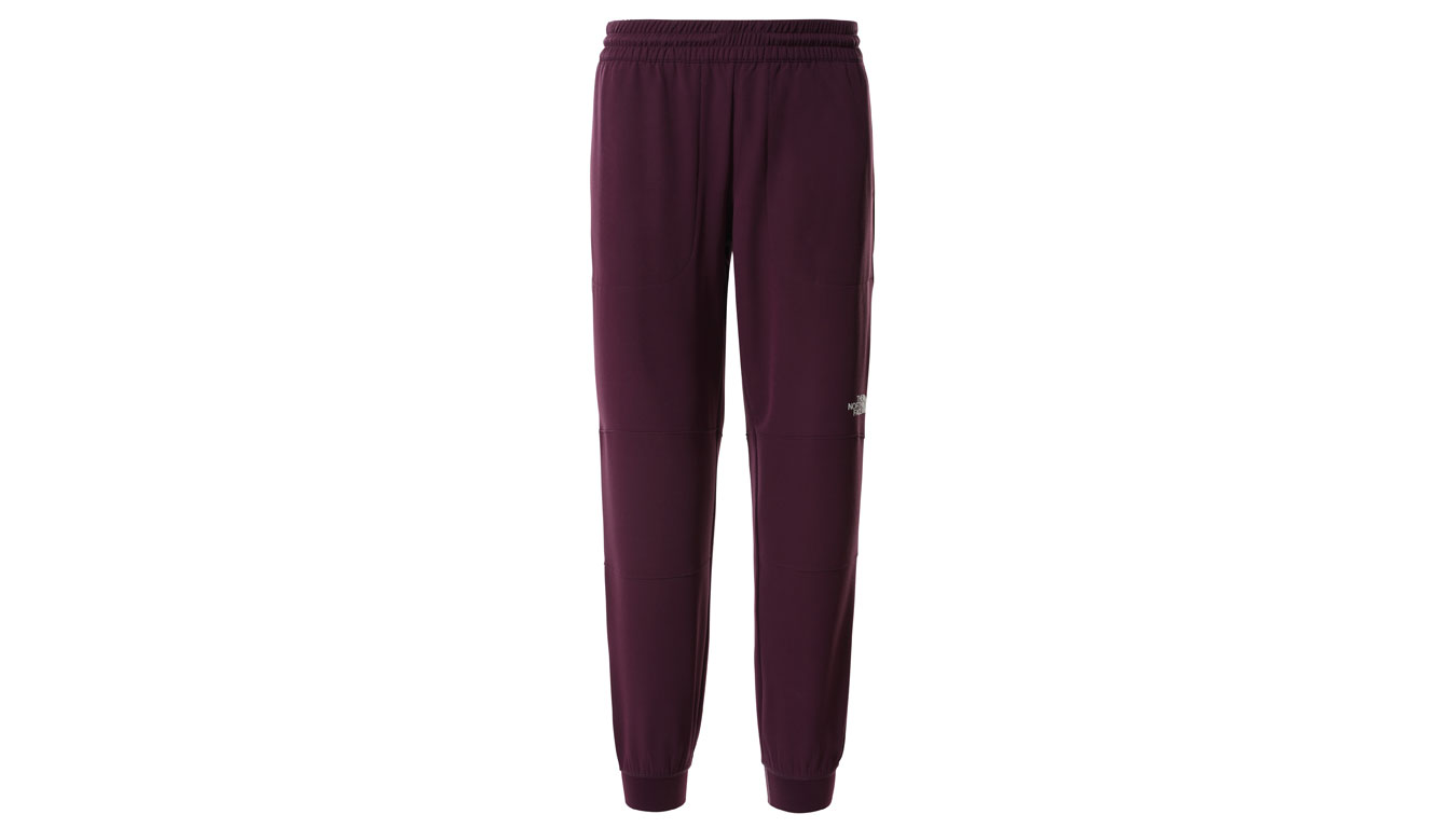Image of The North Face W Tekwr Fleece Pant SK