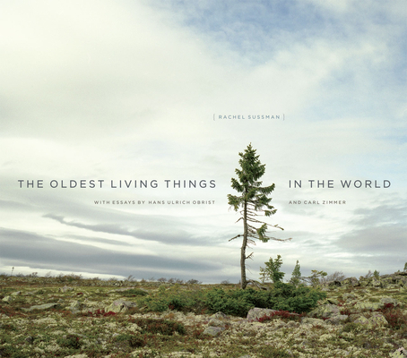 Image of The Oldest Living Things in the World