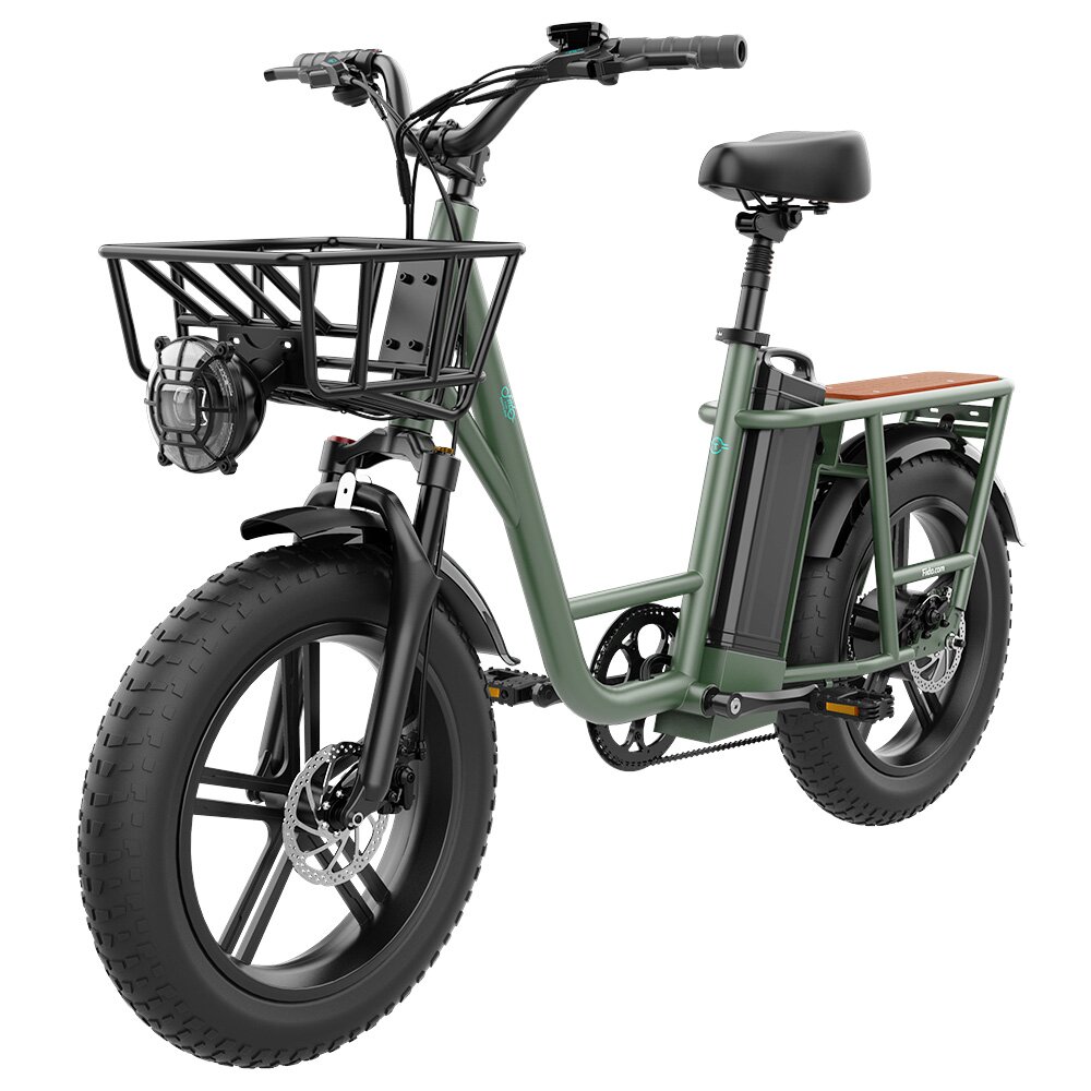 Image of [US Direct] FIIDO T1 48V 20AH 750W 20*40in Electric Bicycle 150 KM Mileage 150 KG Payload Mechanical Disc Brake Electri