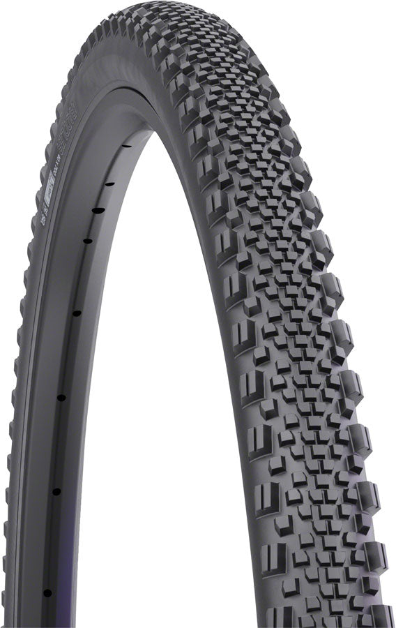 Image of WTB Raddler Tire - TCS Tubeless Folding Black Light Fast Rolling SG2