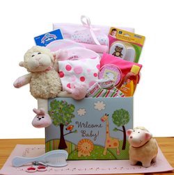 Image of Welcome New Baby Pink Gift Box