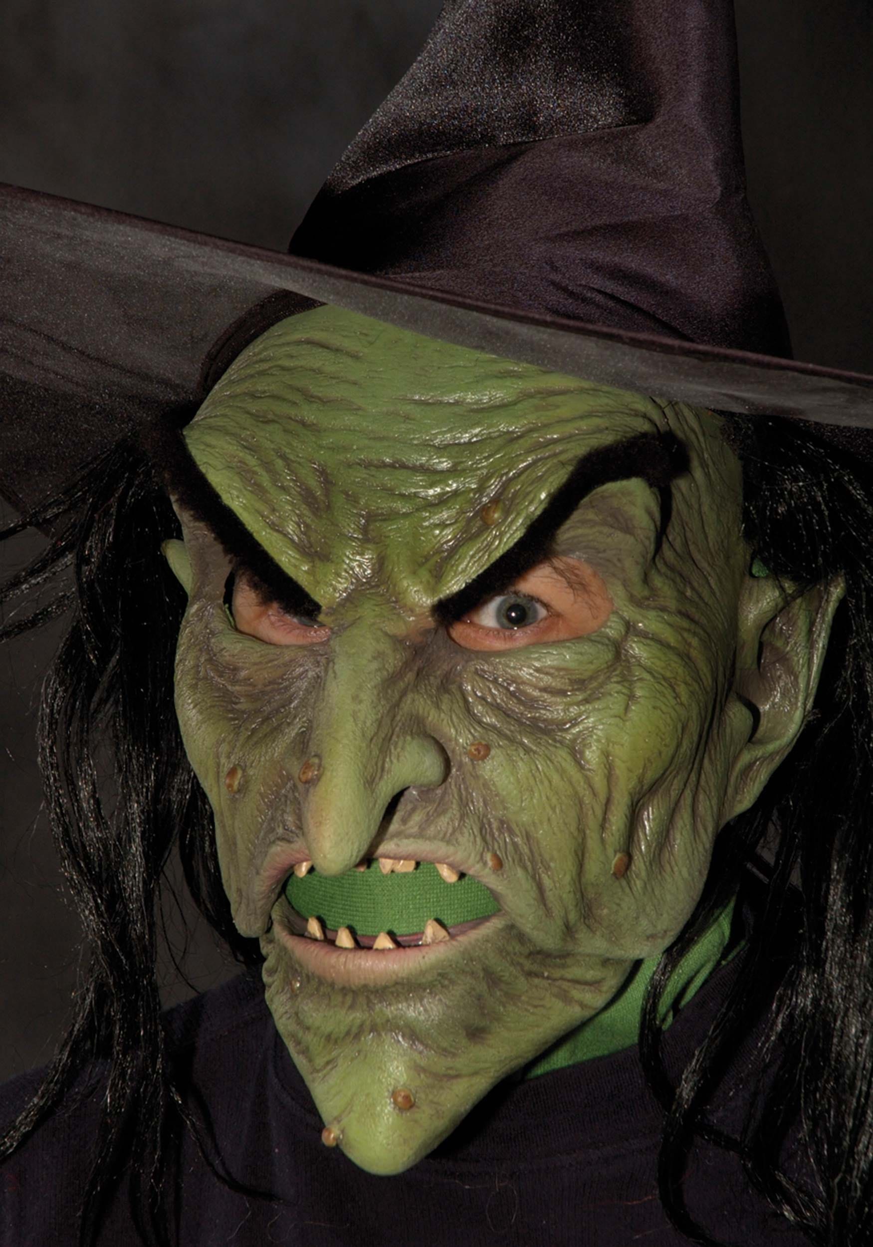 Image of Wicked Witch Mask for Adults ID ZAM3506-ST