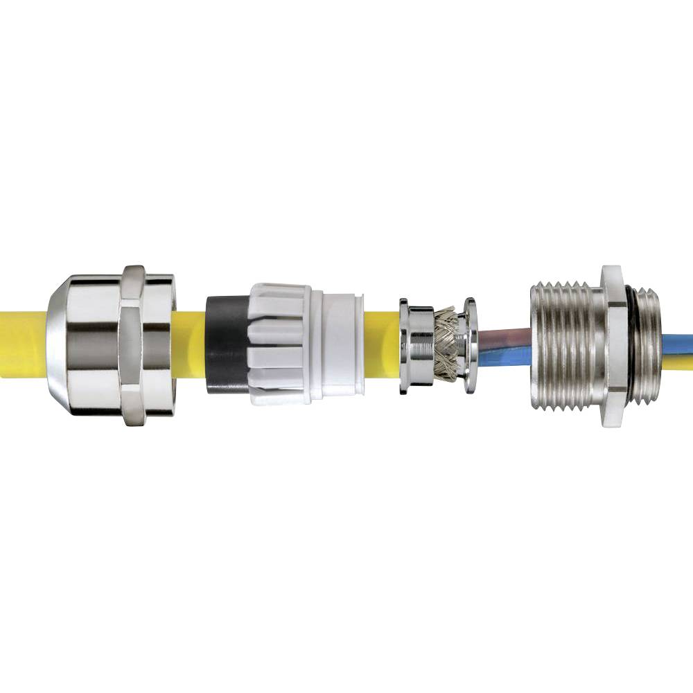 Image of Wiska 10104311 Cable gland shockproof with strain relief with seal M63 Brass (Ni-plated) Ecru 1 pc(s)