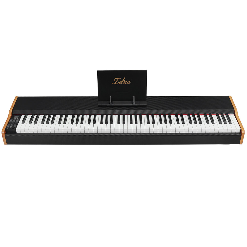 Image of Zebra 88-key Carbon Fiber Electronic Piano